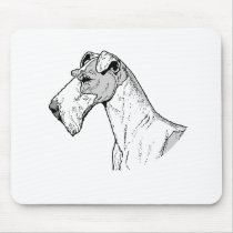 THE TERRIER
