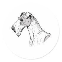 THE TERRIER