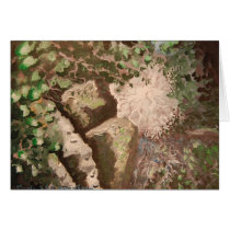 The Thicket Greeting Cards