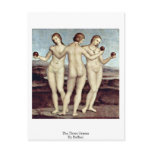 The Three Graces By Raffael postcards