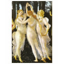 The Three Graces T-Shirt