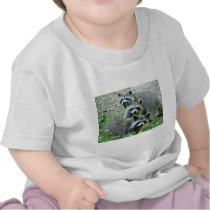 The Three Raccoons