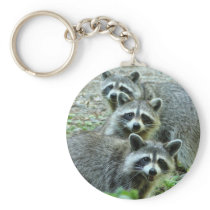 The Three Raccoons Key Chain
