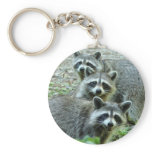 The Three Raccoons keychains