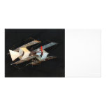 The Timmons Kite Photo Card
