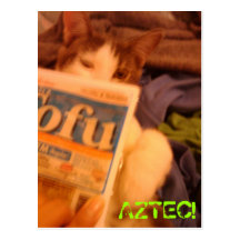 The Tofu Kitteh Post Card