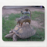 The Tortoise King mousepads