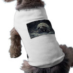 The Tortoise Plods On pet clothing
