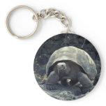 The Tortoise Plods On keychains