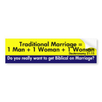The Traditional Marriage Equation Bumper Sticker