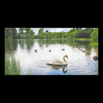 The Tranquil Lake photo cards