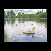 The Tranquil Lake postcards