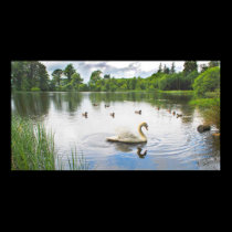 The Tranquil Lake posters
