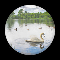 The Tranquil Lake magnets