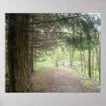 "The Tree Will Show You The Way" Poster