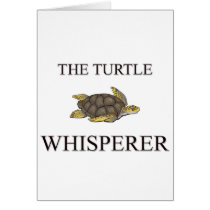 The Turtle Whisperer