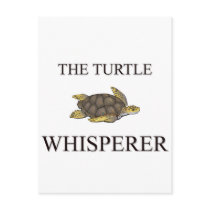 The Turtle Whisperer