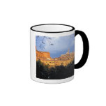 The Tuscan village of Sienna, Italy. Coffee Mugs