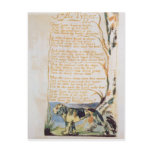 The Tyger, from Songs of Innocence postcards