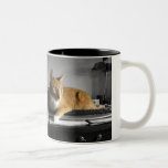 The Typist Mugs