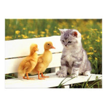 The Ugly Duckling Invitation