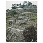 The Unexcavated Great Pyramid, Cholula flyers