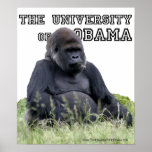 The University of Obama Zoology Dept posters