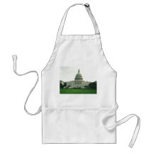The US Capitol Building Aprons