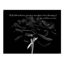 The velvet rose Postcard