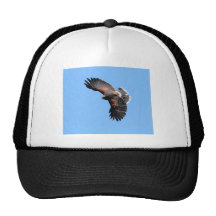 The view from above trucker hat
