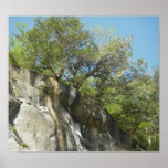 The View From Below Poster