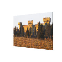 The vineyard with syrah vines and the chateau stretched canvas prints