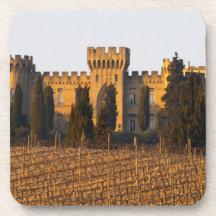 The vineyard with syrah vines and the chateau coasters