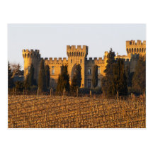 The vineyard with syrah vines and the chateau postcard