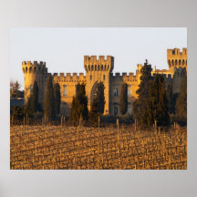 The vineyard with syrah vines and the chateau posters
