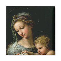 The Virgin of the Rose, c.1518 Fridge Magnets