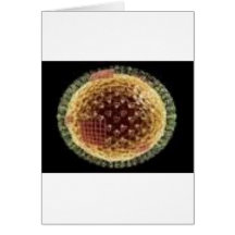 THE VIRUS 2009 GREETING CARD
