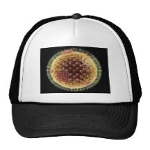 THE VIRUS 2009 HAT