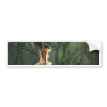 THE VISITATION BUMPER STICKERS