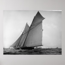 The Volunteer Print