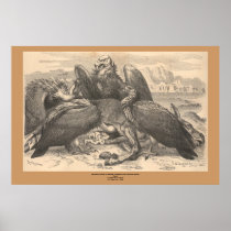 The Vultures Posters