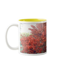 The Warm Glow of Autumn Mug