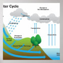 The Water Cycle posters
