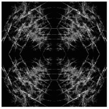 The Way In. Fractal Art. Monochrome Cut Out