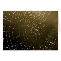 The Web Greeting Cards