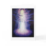 The Web with Dandelion Field cards