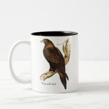 The Wedge Tailed Eagle. A Magnificent Bird of Prey Coffee Mugs