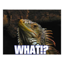 The What!? Iguana Custom Invitations