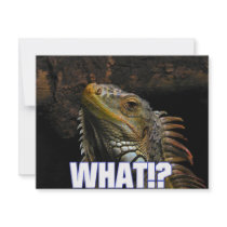 The What!? Iguana Custom Invitations