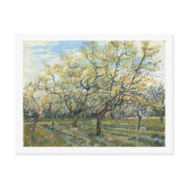 The White Orchard, Vincent van Gogh Postcards